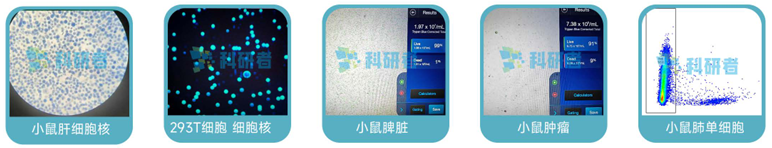 微信圖片_2025-08-13_164225_532